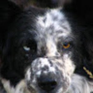 Meet your Posher, Mathew